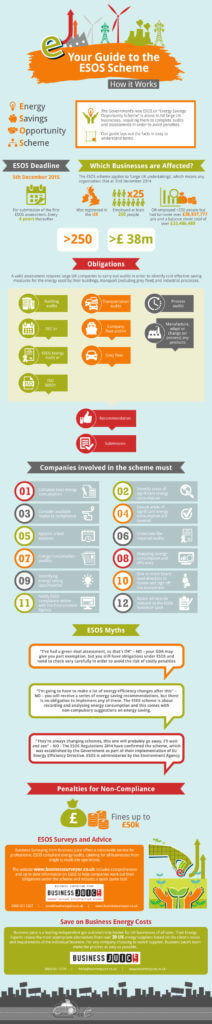 Guide to ESOS Scheme Infographic